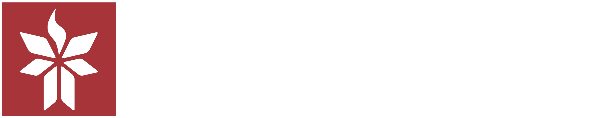 Davis Tech Logo